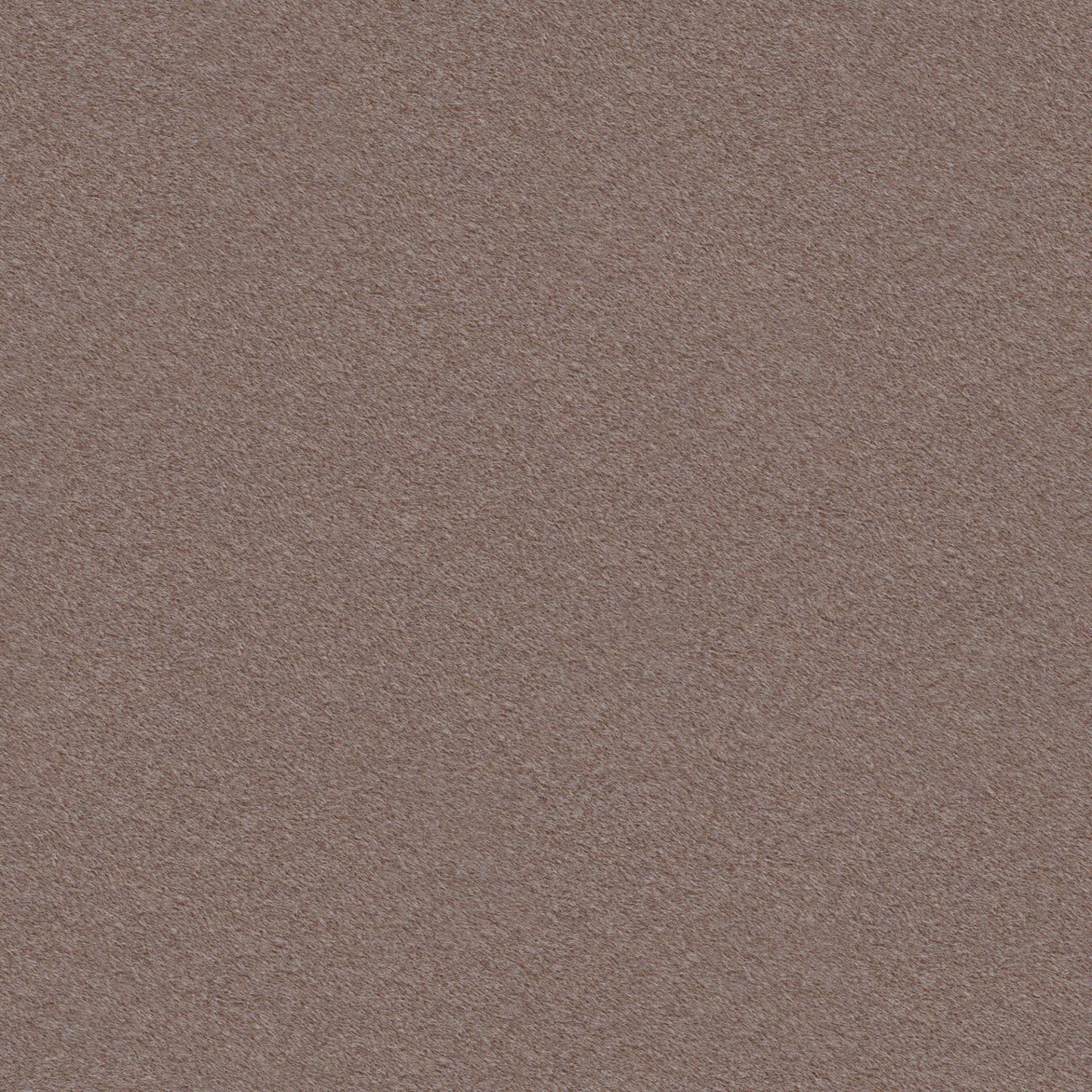 Velvet Taupe - Runo 21