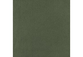 Skaileer Luxe Groen - nube 39