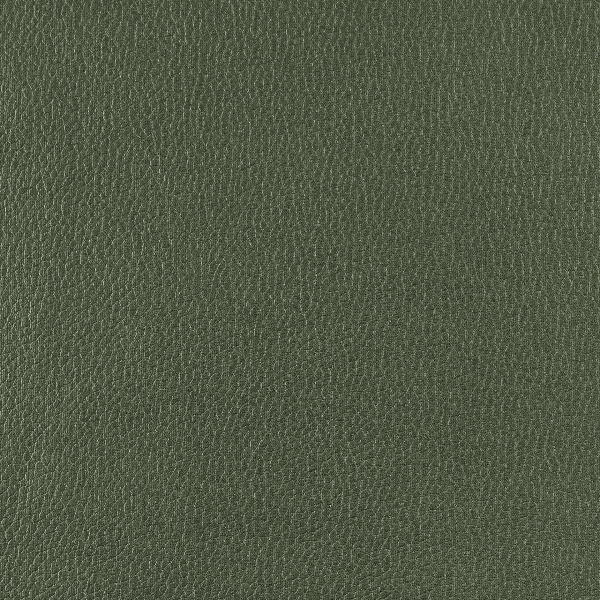 Skaileer luxe Groen - nube 39
