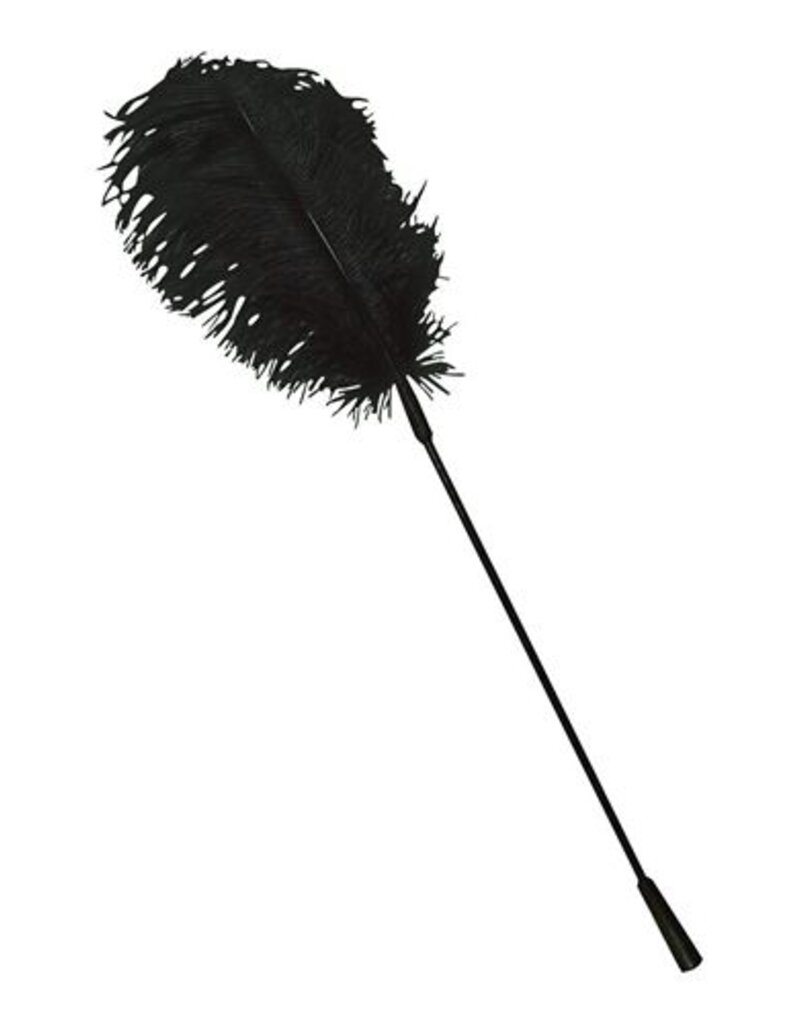 Bad Kitty BLACK FEATHER