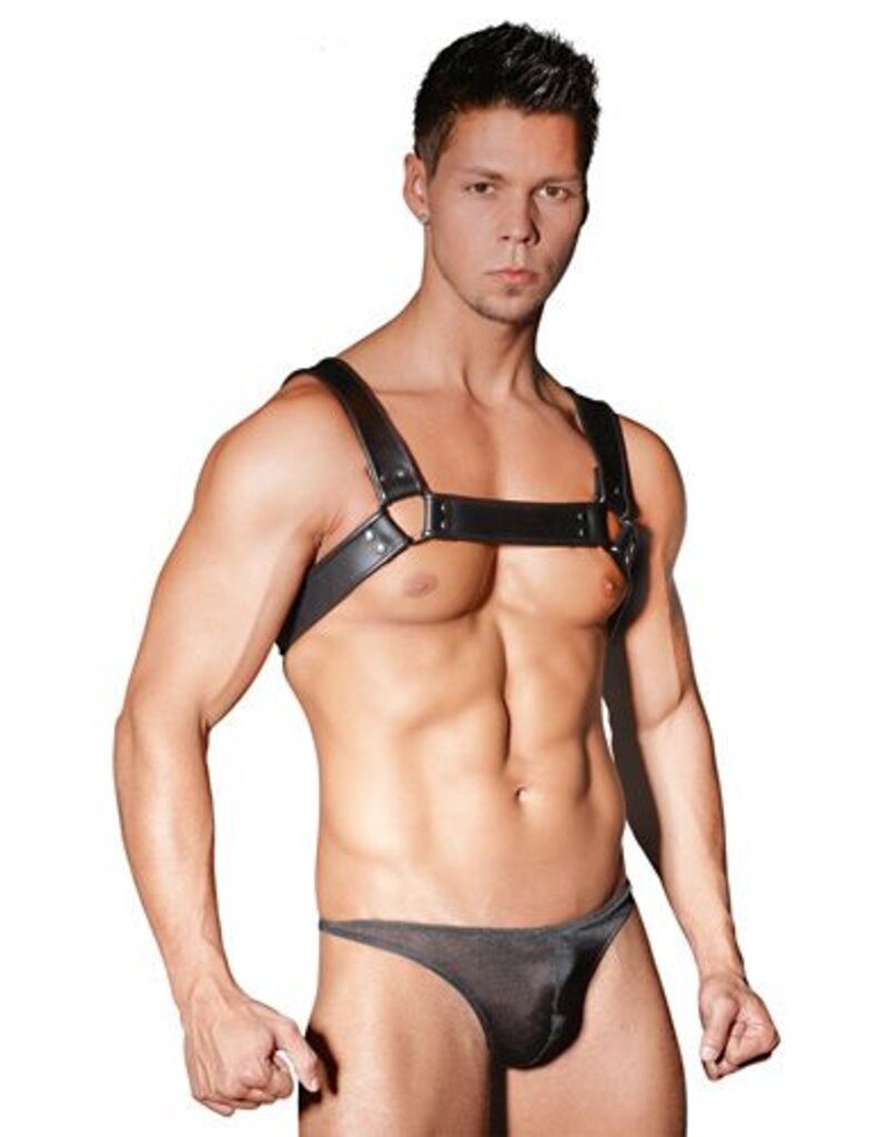 Zado LEATHER CHEST HARNESS