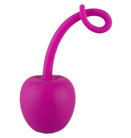 You2Toys APPELTJES VAGINA BAL ROZE