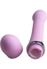 Closet Collection Roze Carrie B. Twister vibrator