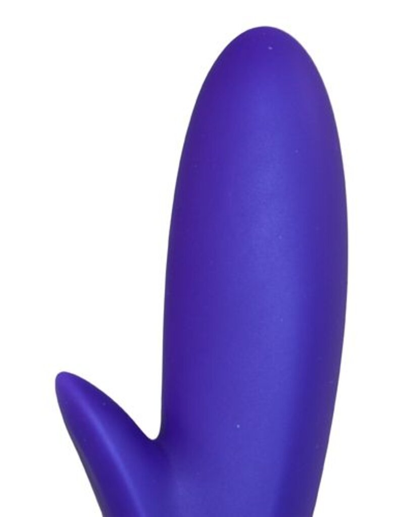 Mystim Oplaadbare paarse vibrator