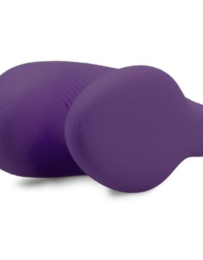 We-Vibe Paarse Duo vibrator