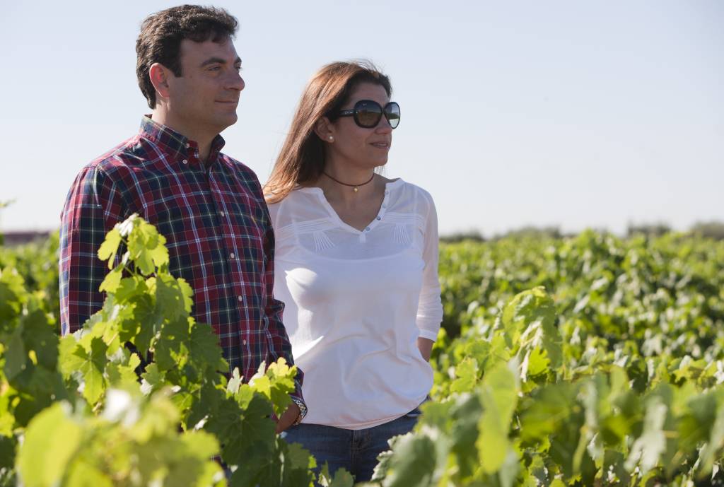 Bodegas Carlos Plaza Bodegas Carlos Plaza La Llave Roja 2016