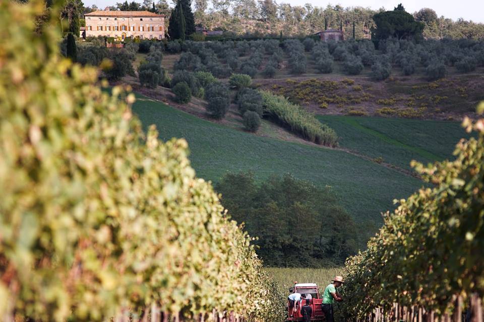 Montechiaro Montechiaro IGT Toscana Primum Vinum 2019