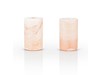 Viski Summit™ Himalayan Salt Shot Glasses (Set of 2) by Viski