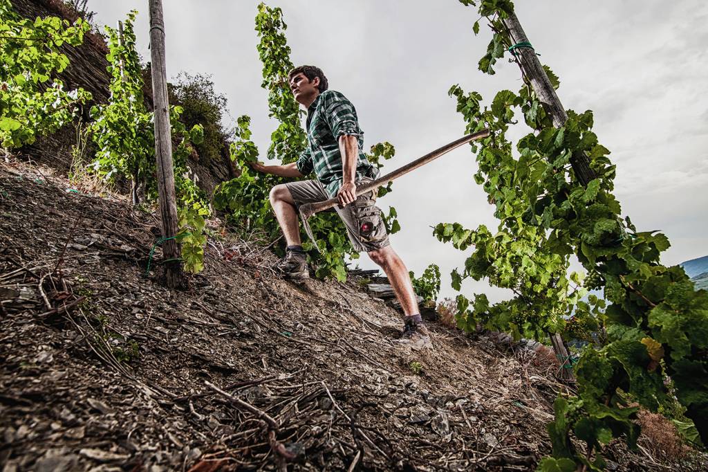 Weingut Meierer Meierer Riesling OMG - Perlwein 2020