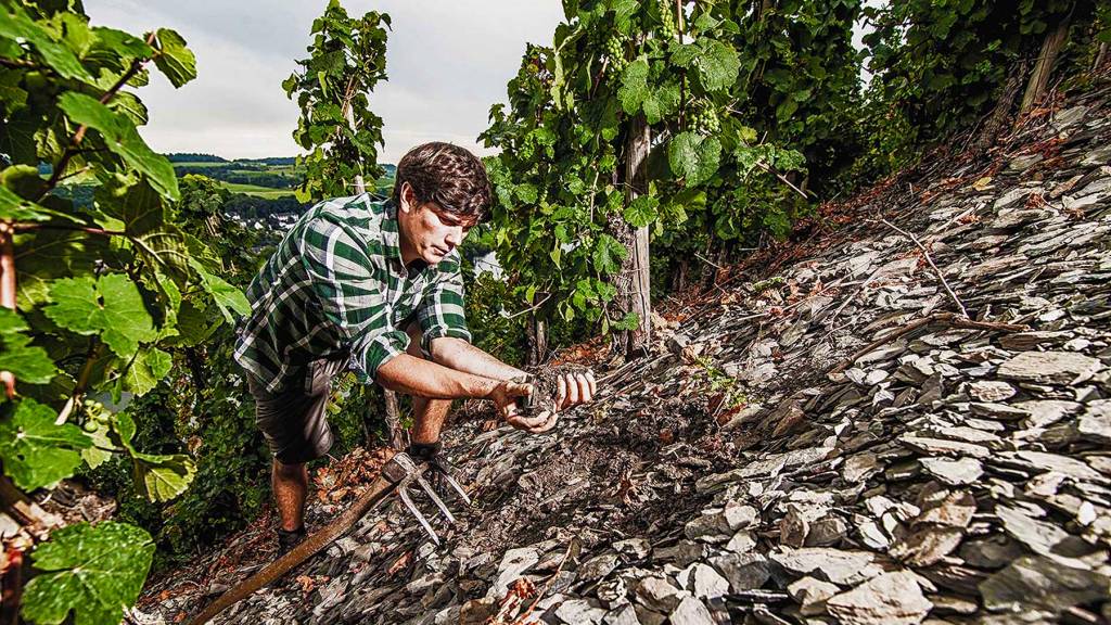 Weingut Meierer Meierer Kesten Feinherb 2021 & 2022