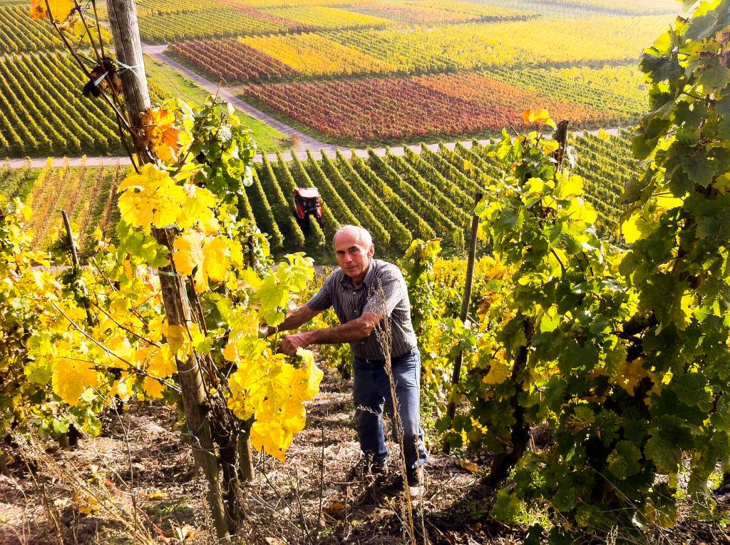 Weingut Meierer Meierer Kesten Feinherb 2021 & 2022