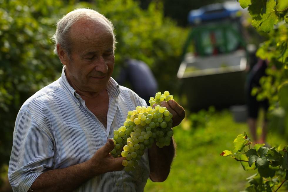 Sommariva Sommariva Prosecco Superiore Conegliano Valdobbiadene  Brut D.O.C.G.