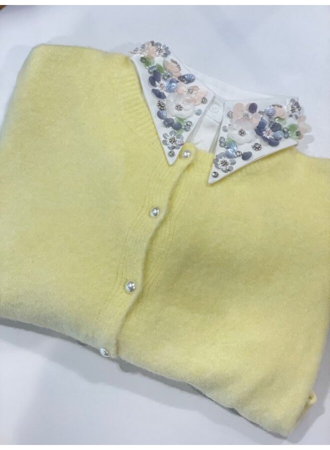 Luxe kraag met kralen en pailletten