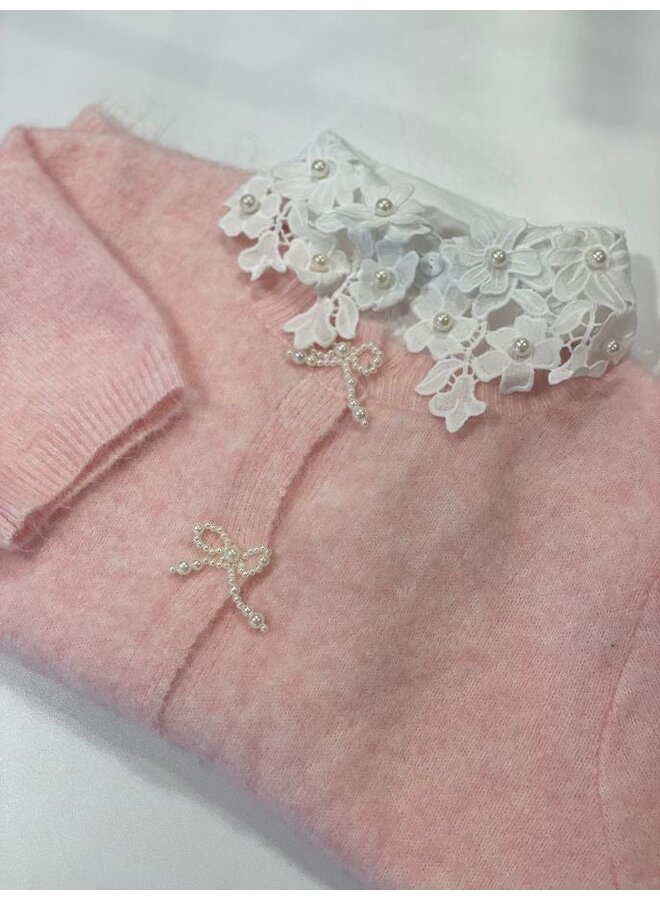 Elegante kraag met geborduurde bloemen en parels