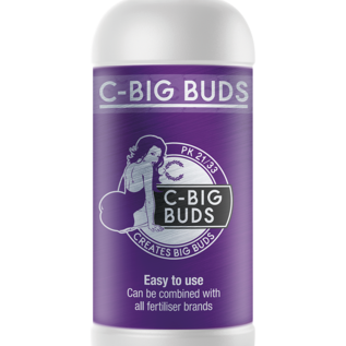 C-Result C-Big Buds