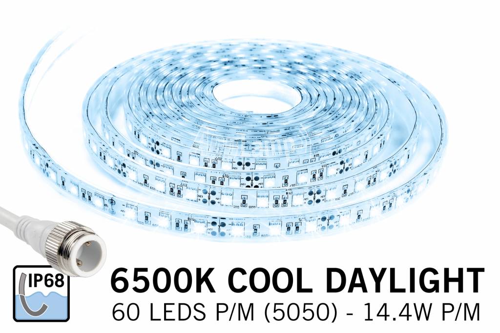 Waterdichte IP68 LED strip Koel Wit Daglicht, 300 leds, 12V, 5M