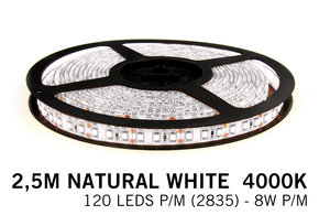 AppLamp Neutraal Witte LED strip 120 leds p.m. - 2,5M - type 2835 - 12V - 8 W p.m.