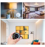 MiLight MiLight 2.4G Sunrise Remote Enkelkleur/Dual White , Zwart, AAA Batterijen