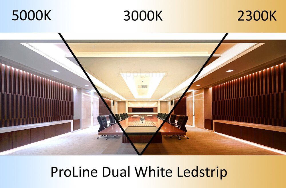 AppLamp ProLine 1m IP68 PRO LINE COB Dual Wit 2300K~5000K CCT Led Strip |  COB 640 Pixels pm 24V - Losse Strip