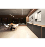 PLEX 12mm Led Profiel Opbouw 2m