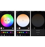 LED Magical CCT/RGB WiFi Controller | 12-48 Volt