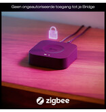 Philips Hue Philips Hue Bridge Pro