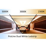 AppLamp ProLine PRO LINE COB Dual Wit 2300K~4700K CCT Led Strip |5m COB 640 Pixels pm 24V - Losse Strip