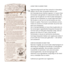Napiers Herbalists Midlife Herbal Tea Blend