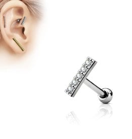 Ohrpiercing für Tragus, Helix, Lobe