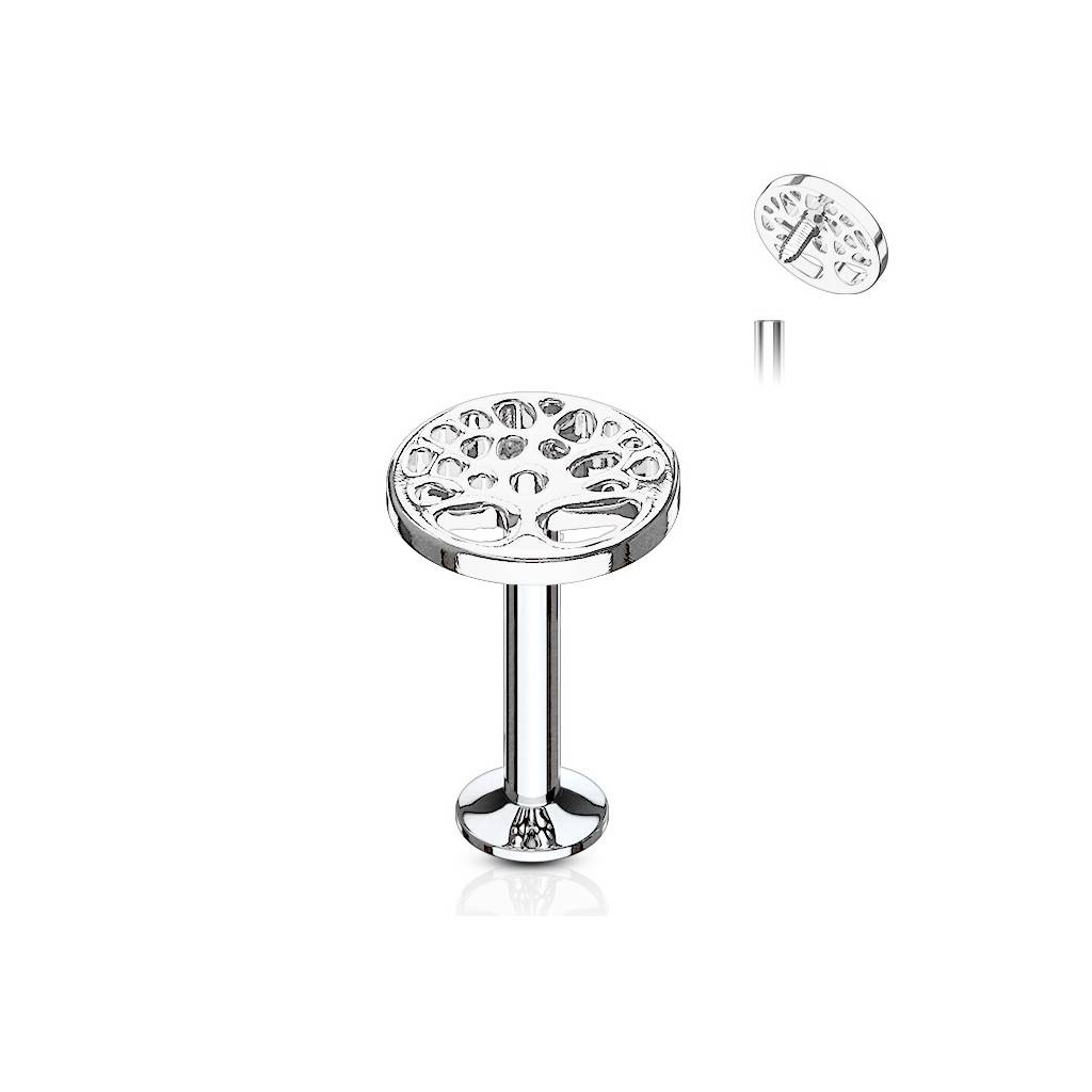 Tragus  Piercing Lebensbaum