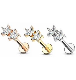 Tragus Piercing zweifach Stern