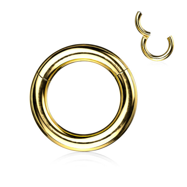 Segment Ring  Gold
