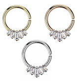 Septum Ring biegbar - 3 Farben