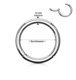 Segmentring Ring  aus Chirurgenstahl (8 / 10 / 12 mm)