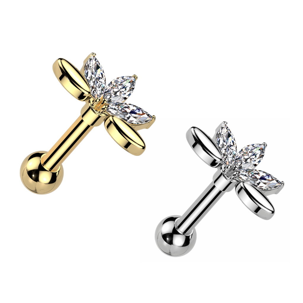 Traguspiercing Blume