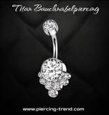 Bauchnabelpiercing  Titan mit Kristall