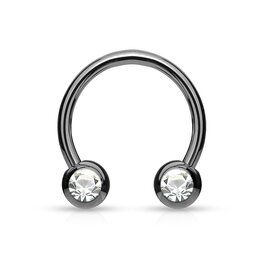 1,6 x 12 mm Nippelpiercing Ring