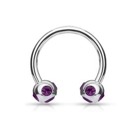 1,2 x 10 Hufeisenring Violett