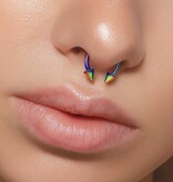 1,2 mm Hufeisenring eloxiert mit 2 Kegel