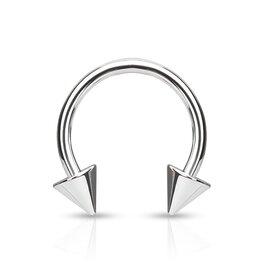 Cicular Barbell Titanium