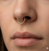 Septum Piercing Clicker Ring Gold – Chirurgenstahl 316L PVD