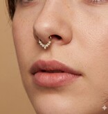 Segment Clicker Ring mit 7 kristall Steinchen