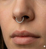 Segmentring Ring  aus Chirurgenstahl