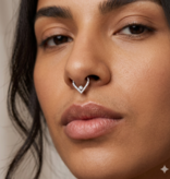 1,2 mm Titan Segmentring Clicker Kristall