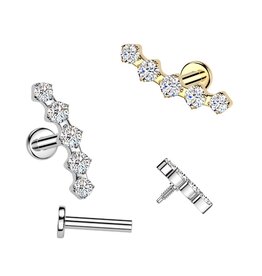 Chirurgenstahl Ohrpiercing