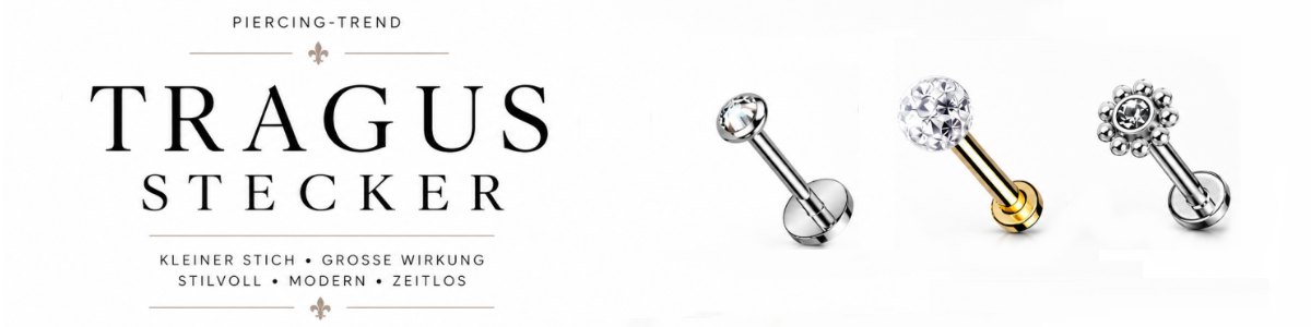 Tragus Stecker