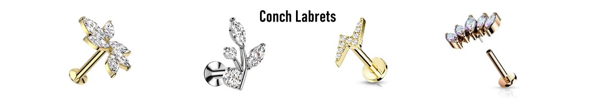 Conch Labret