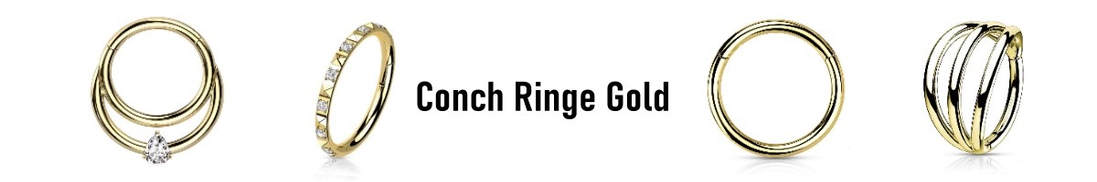 Conch Ringe Gold PVD