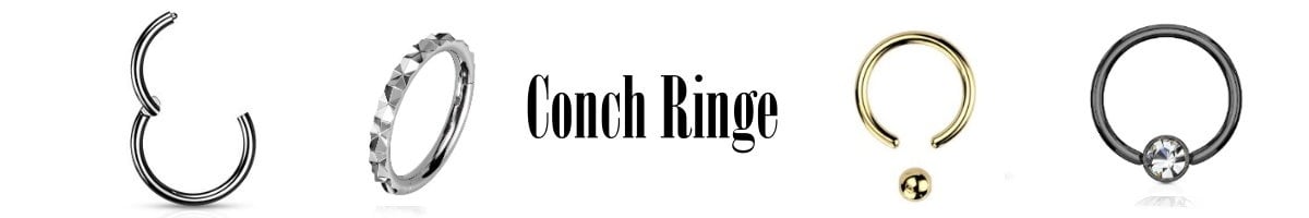 Conch Ringe
