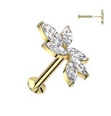 Conch Piercing Schmuck aus Chirurgenstahl